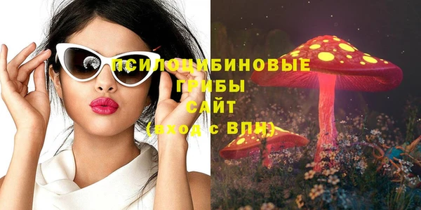СК Горно-Алтайск