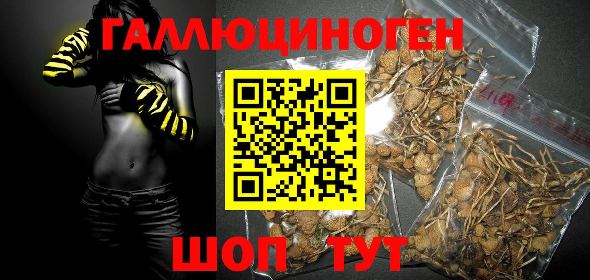 Псилоцибиновые грибы MAGIC MUSHROOMS  цены   Морозовск 
